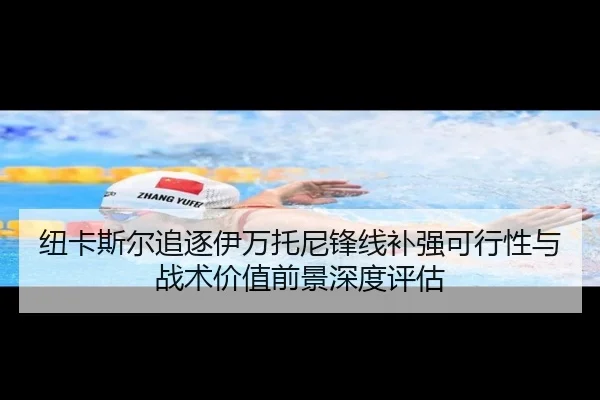 纽卡斯尔追逐伊万托尼锋线补强可行性与战术价值前景深度评估